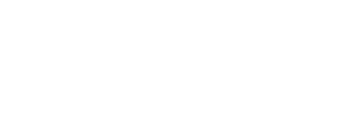 ROAM Intelligence